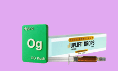 Uplift Plus Drops Extract With Terpenes